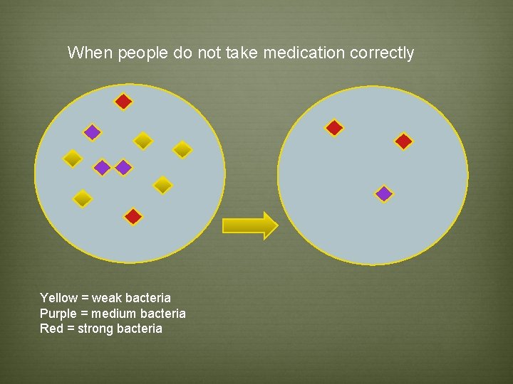 When people do not take medication correctly Yellow = weak bacteria Purple = medium When people do not take medication correctly Yellow = weak bacteria Purple = medium