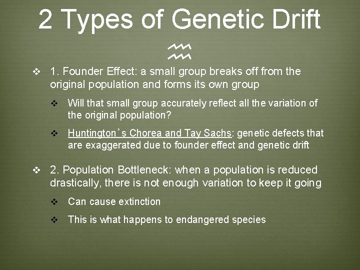 2 Types of Genetic Drift h v 1. Founder Effect: a small group breaks 2 Types of Genetic Drift h v 1. Founder Effect: a small group breaks