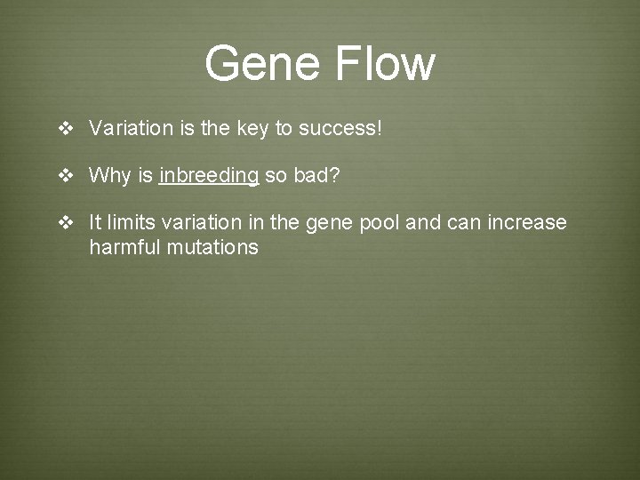 Gene Flow v Variation is the key to success! v Why is inbreeding so Gene Flow v Variation is the key to success! v Why is inbreeding so