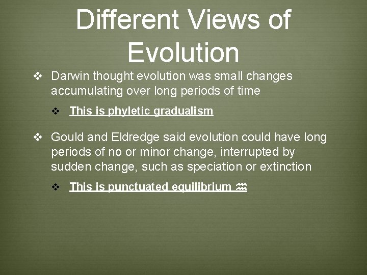 Different Views of Evolution v Darwin thought evolution was small changes accumulating over long Different Views of Evolution v Darwin thought evolution was small changes accumulating over long