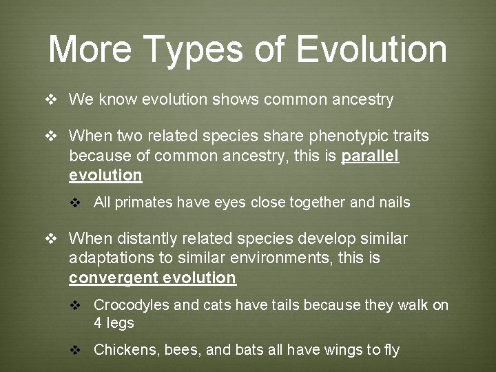 More Types of Evolution v We know evolution shows common ancestry v When two More Types of Evolution v We know evolution shows common ancestry v When two