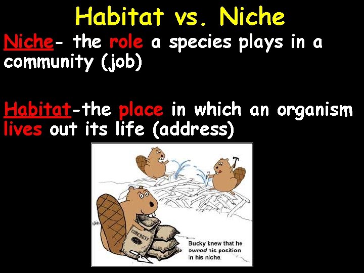 Habitat vs. Niche- the role a species plays in a community (job) Habitat-the place