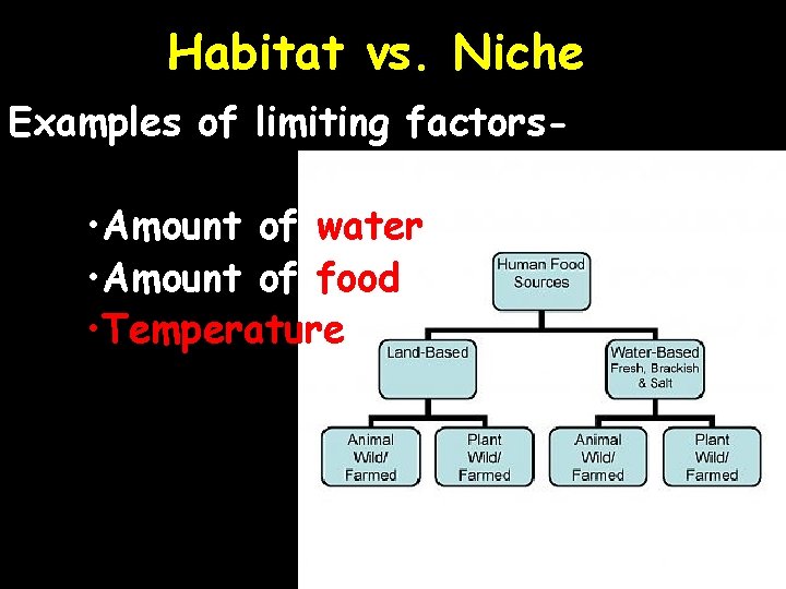 Habitat vs. Niche Examples of limiting factors- • Amount of water • Amount of