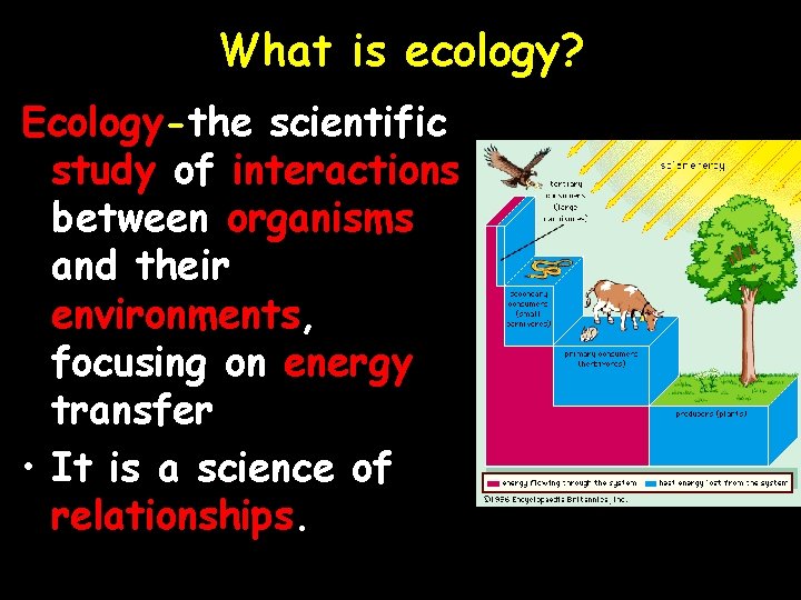 What is ecology? Ecology-the scientific study of interactions between organisms and their environments, focusing