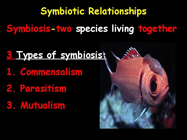 Symbiotic Relationships Symbiosis-two species living together 3 Types of symbiosis: 1. Commensalism 2. Parasitism