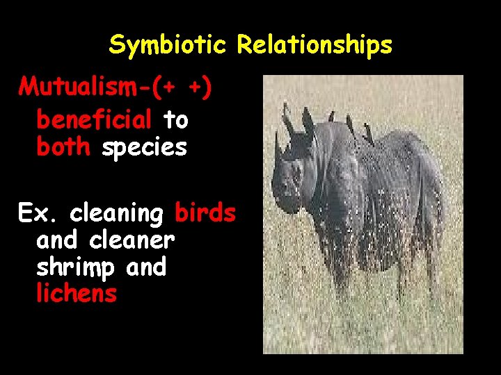 Symbiotic Relationships Mutualism-(+ +) beneficial to both species Ex. cleaning birds and cleaner shrimp