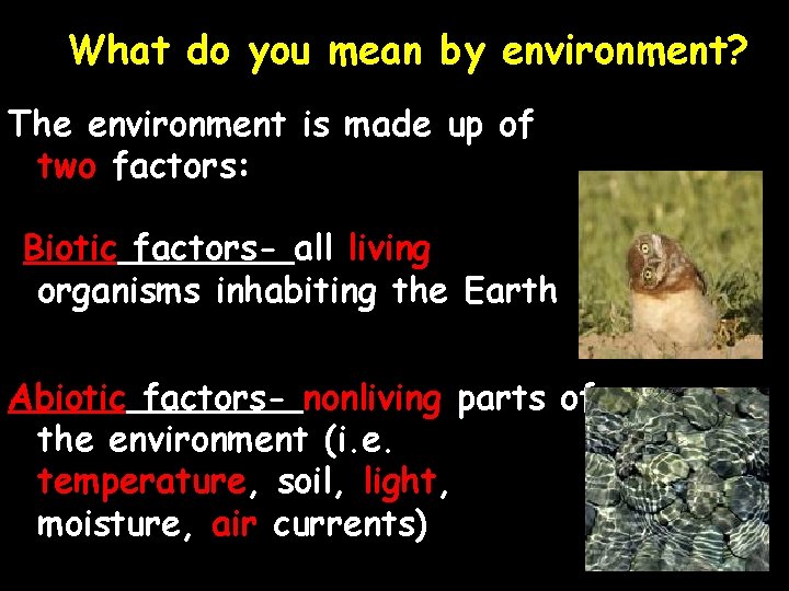What do you mean by environment? The environment is made up of two factors: