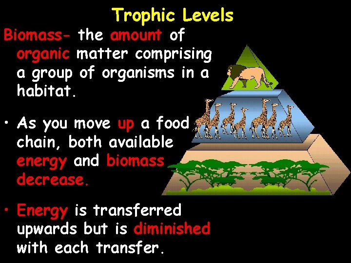 Trophic Levels Biomass- the amount of organic matter comprising a group of organisms in