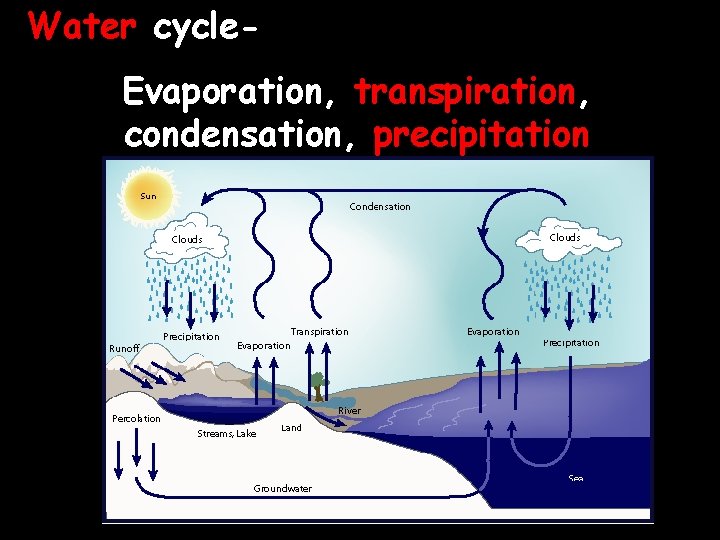 Water cycle. Evaporation, transpiration, condensation, precipitation 