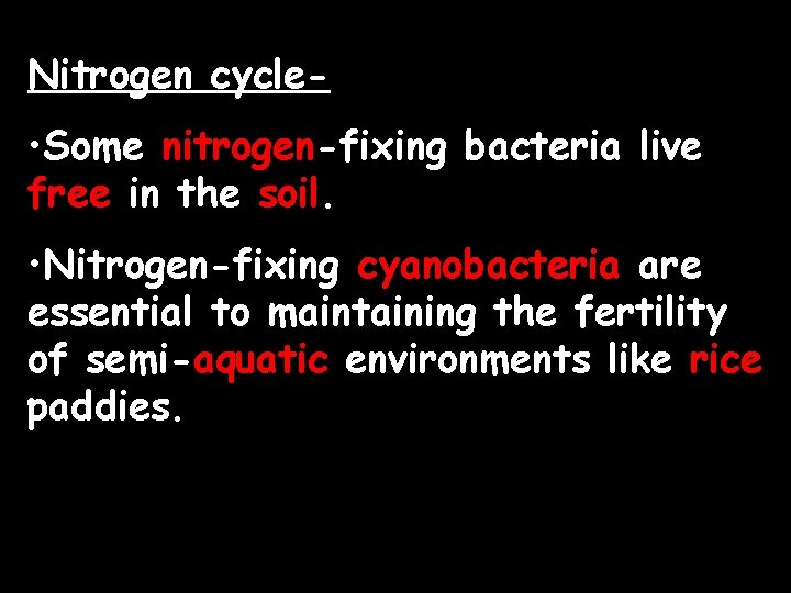 Nitrogen cycle- • Some nitrogen-fixing bacteria live free in the soil. • Nitrogen-fixing cyanobacteria