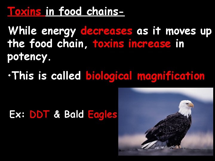 Toxins in food chains. While energy decreases as it moves up the food chain,