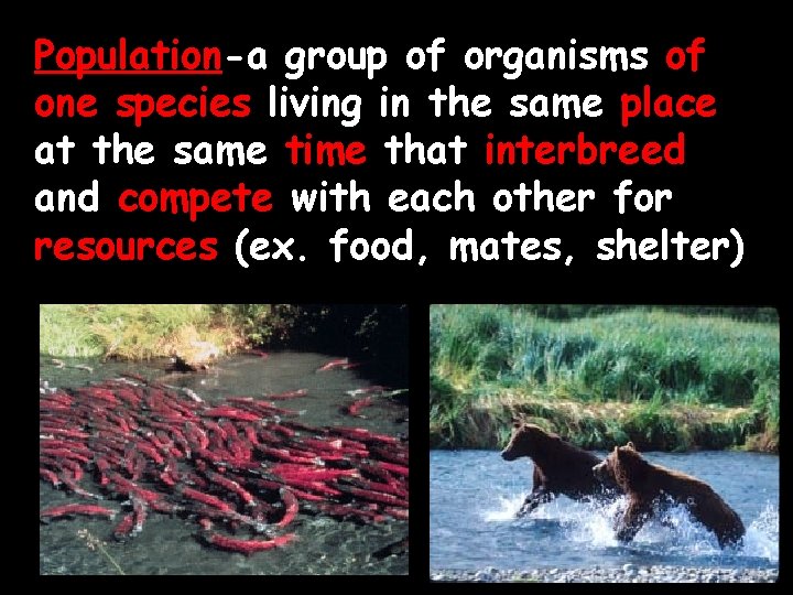 Population-a group of organisms of one species living in the same place at the