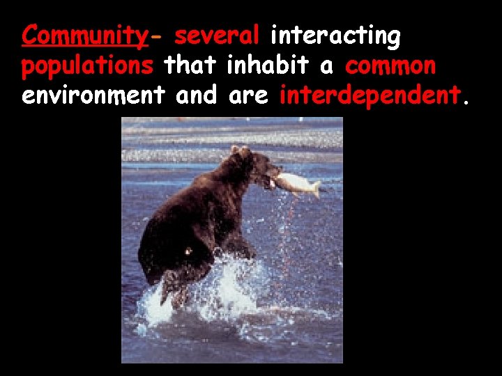 Community- several interacting populations that inhabit a common environment and are interdependent. 