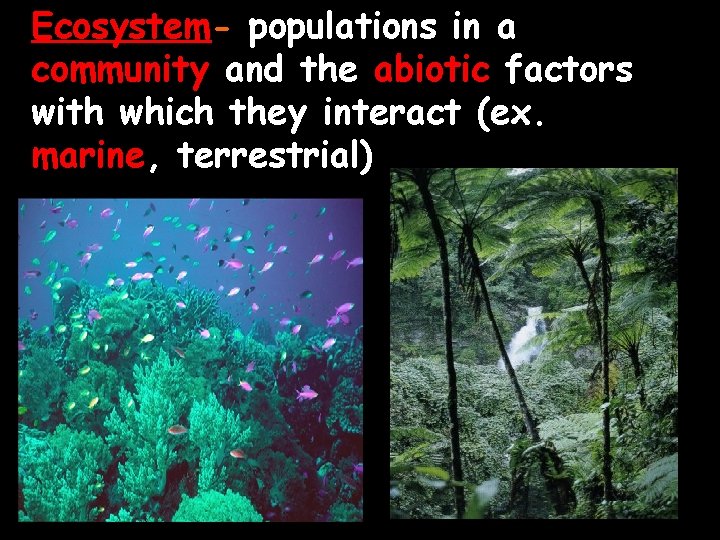 Ecosystem- populations in a community and the abiotic factors with which they interact (ex.