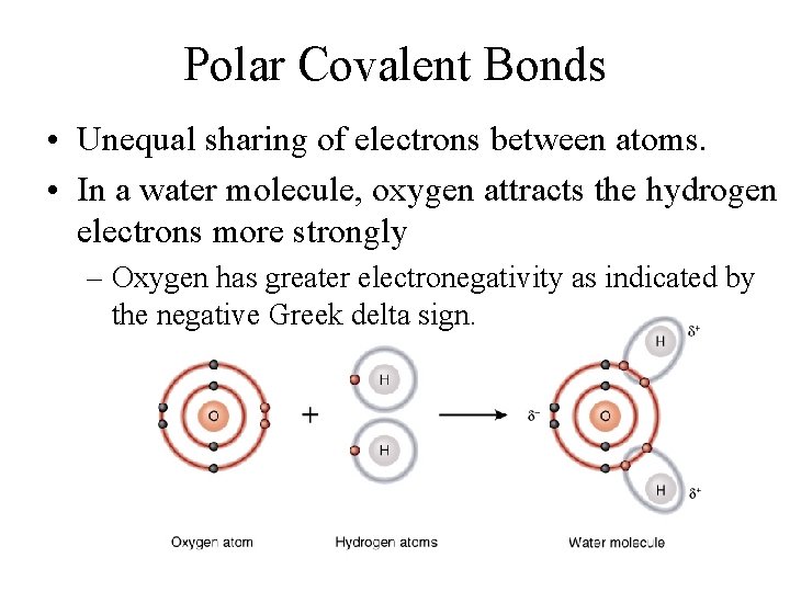 Polar Covalent Bonds • Unequal sharing of electrons between atoms. • In a water