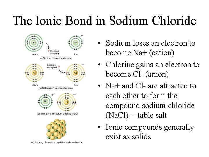 The Ionic Bond in Sodium Chloride • Sodium loses an electron to become Na+