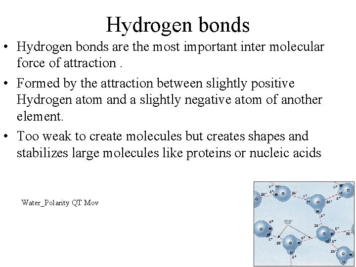 Hydrogen bonds • Hydrogen bonds are the most important inter molecular force of attraction.