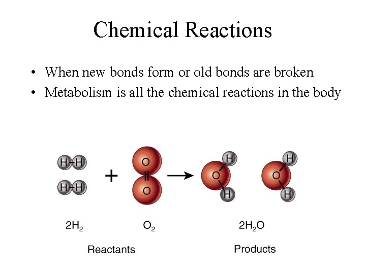 Chemical Reactions • When new bonds form or old bonds are broken • Metabolism