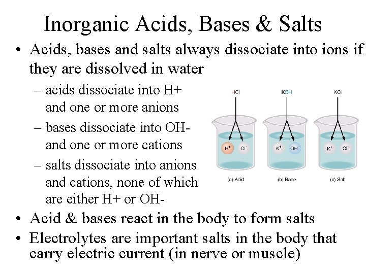 Inorganic Acids, Bases & Salts • Acids, bases and salts always dissociate into ions