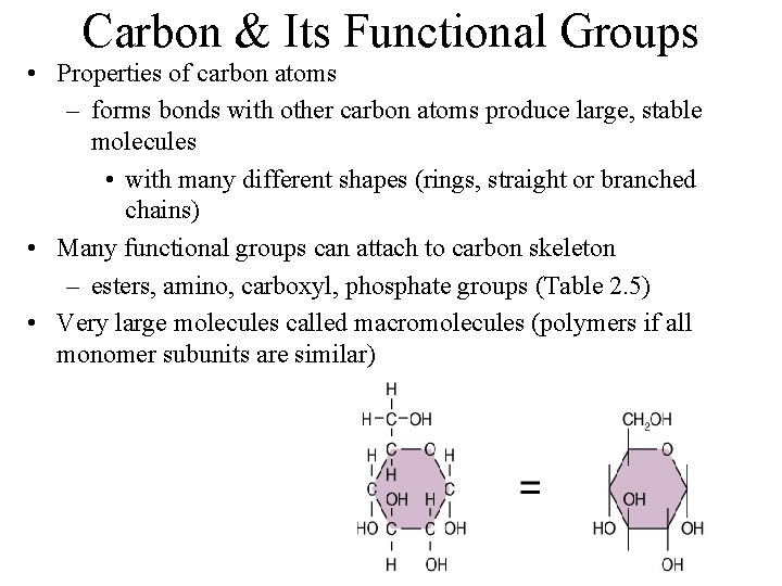 Carbon & Its Functional Groups • Properties of carbon atoms – forms bonds with