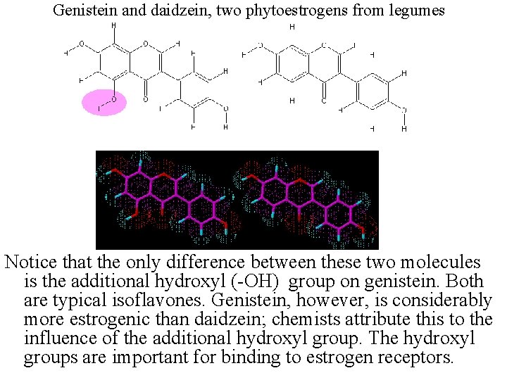 Genistein and daidzein, two phytoestrogens from legumes Notice that the only difference between these