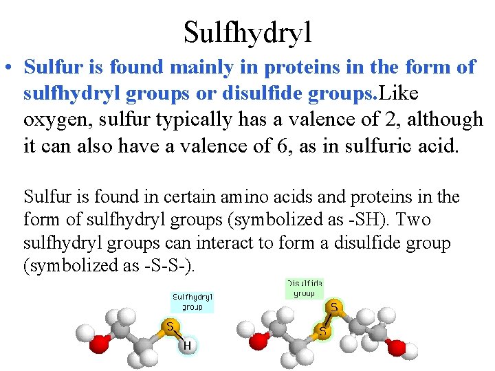 Sulfhydryl • Sulfur is found mainly in proteins in the form of sulfhydryl groups