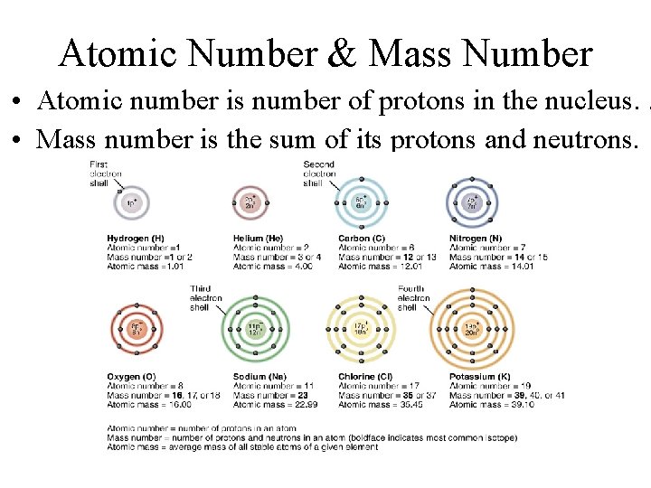 Atomic Number & Mass Number • Atomic number is number of protons in the