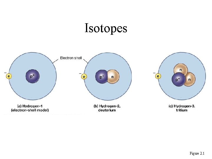 Isotopes Figure 2. 1 