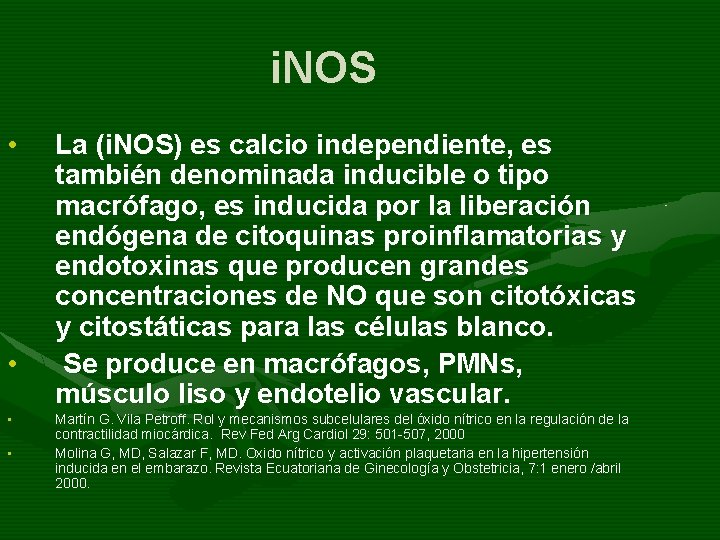 i. NOS • • La (i. NOS) es calcio independiente, es también denominada inducible