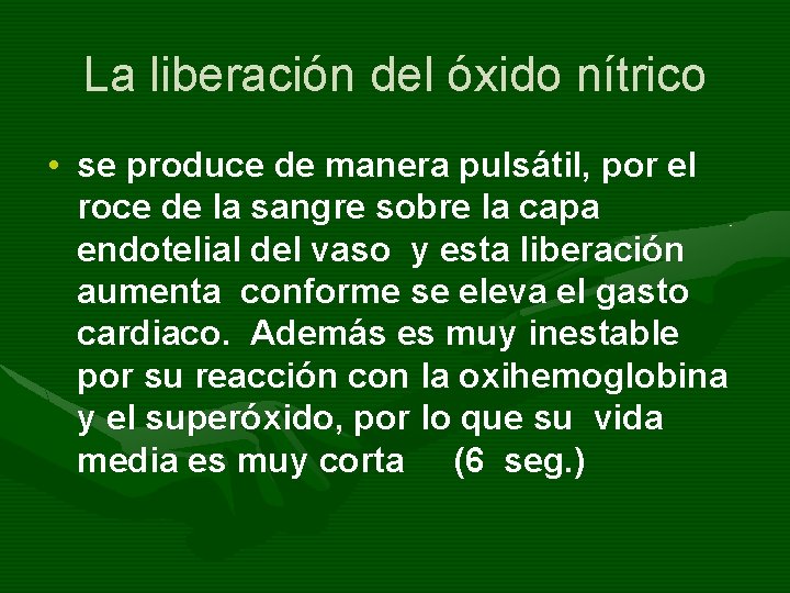 La liberación del óxido nítrico • se produce de manera pulsátil, por el roce