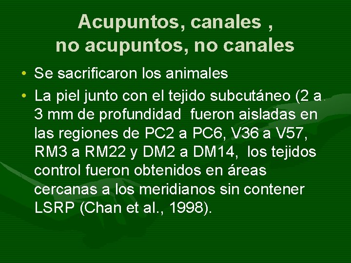 Acupuntos, canales , no acupuntos, no canales • Se sacrificaron los animales • La