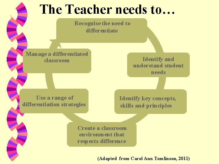 The Teacher needs to… Recognise the need to differentiate Manage a differentiated classroom Use