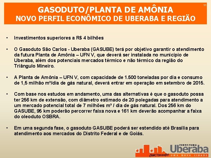 GASODUTO/PLANTA DE AMÔNIA 11 NOVO PERFIL ECONÔMICO DE UBERABA E REGIÃO • Investimentos superiores