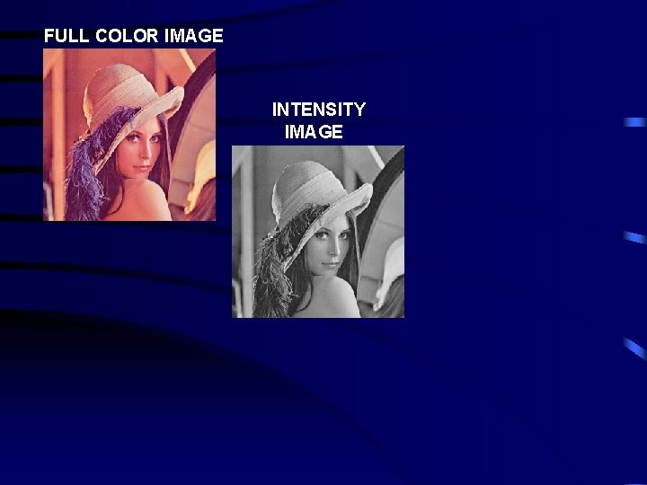 FULL COLOR IMAGE INTENSITY IMAGE 
