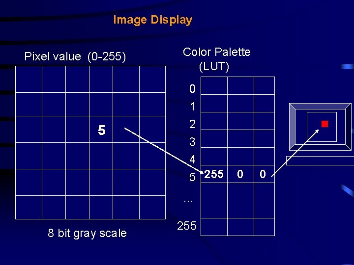 Image Display Pixel value (0 -255) 5 Color Palette (LUT) 0 1 2 3