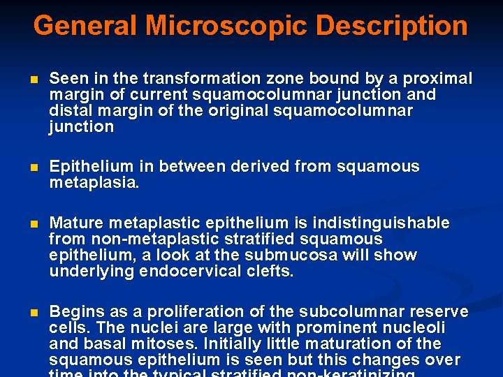 General Microscopic Description n Seen in the transformation zone bound by a proximal margin