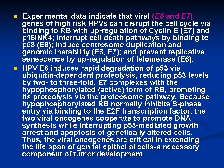 n n Experimental data indicate that viral (E 6 and E 7) genes of