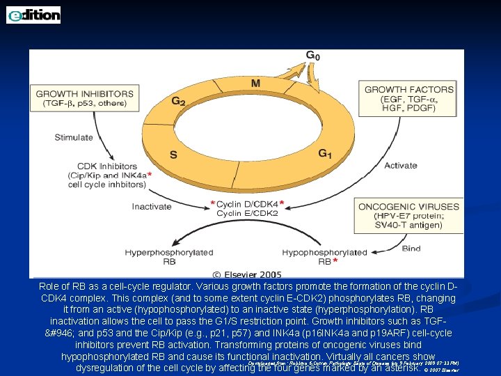 Role of RB as a cell-cycle regulator. Various growth factors promote the formation of