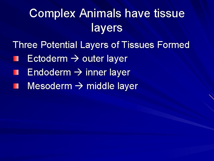 Complex Animals have tissue layers Three Potential Layers of Tissues Formed Ectoderm outer layer