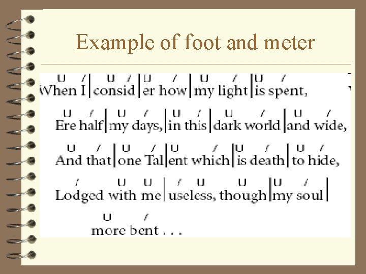 Example of foot and meter 