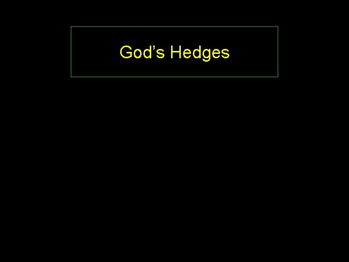God’s Hedges 
