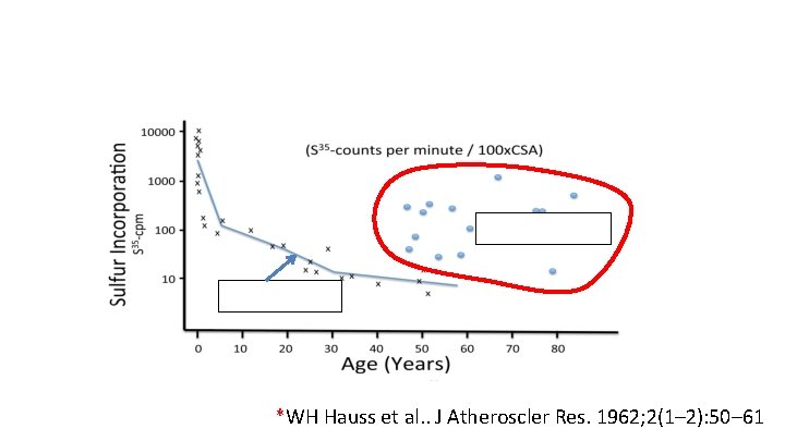 *WH Hauss et al. . J Atheroscler Res. 1962; 2(1– 2): 50– 61 