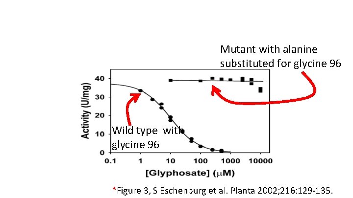 Mutant with alanine substituted for glycine 96 Wild type with glycine 96 *Figure 3,