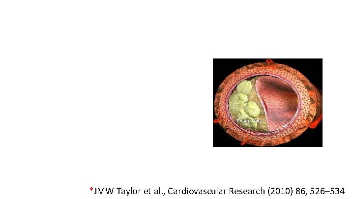 *JMW Taylor et al. , Cardiovascular Research (2010) 86, 526– 534 