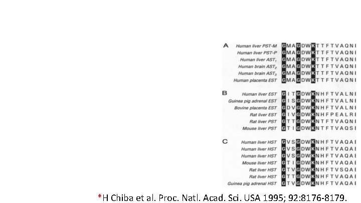 *H Chiba et al. Proc. Natl. Acad. Sci. USA 1995; 92: 8176 -8179. 