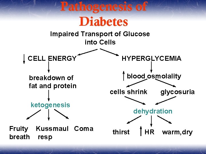 Pathogenesis of Diabetes Impaired Transport of Glucose into Cells CELL ENERGY HYPERGLYCEMIA breakdown of