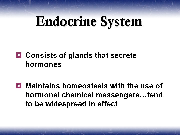 Endocrine System ¥ Consists of glands that secrete hormones ¥ Maintains homeostasis with the