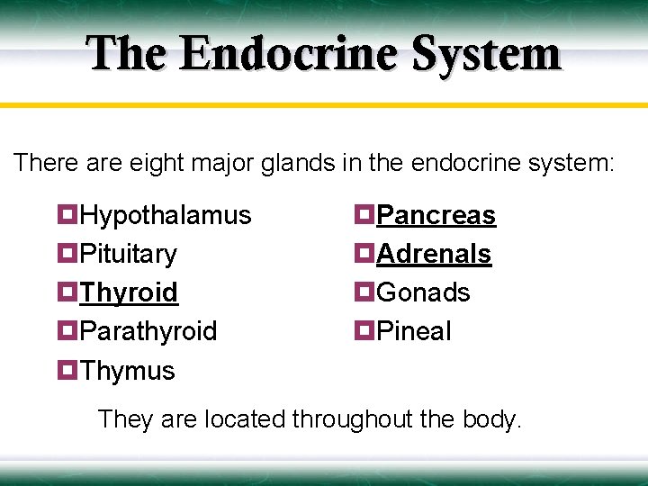 The Endocrine System There are eight major glands in the endocrine system: ¤Hypothalamus ¤Pituitary