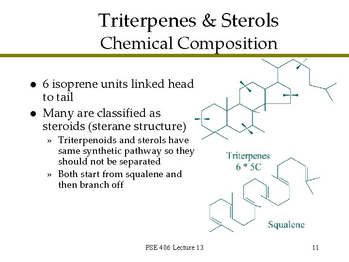 Triterpenes & Sterols Chemical Composition l l 6 isoprene units linked head to tail