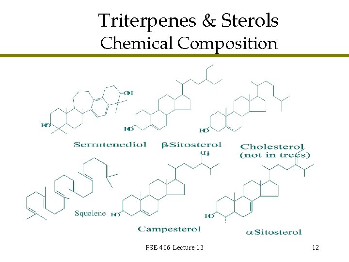 Triterpenes & Sterols Chemical Composition PSE 406 Lecture 13 12 